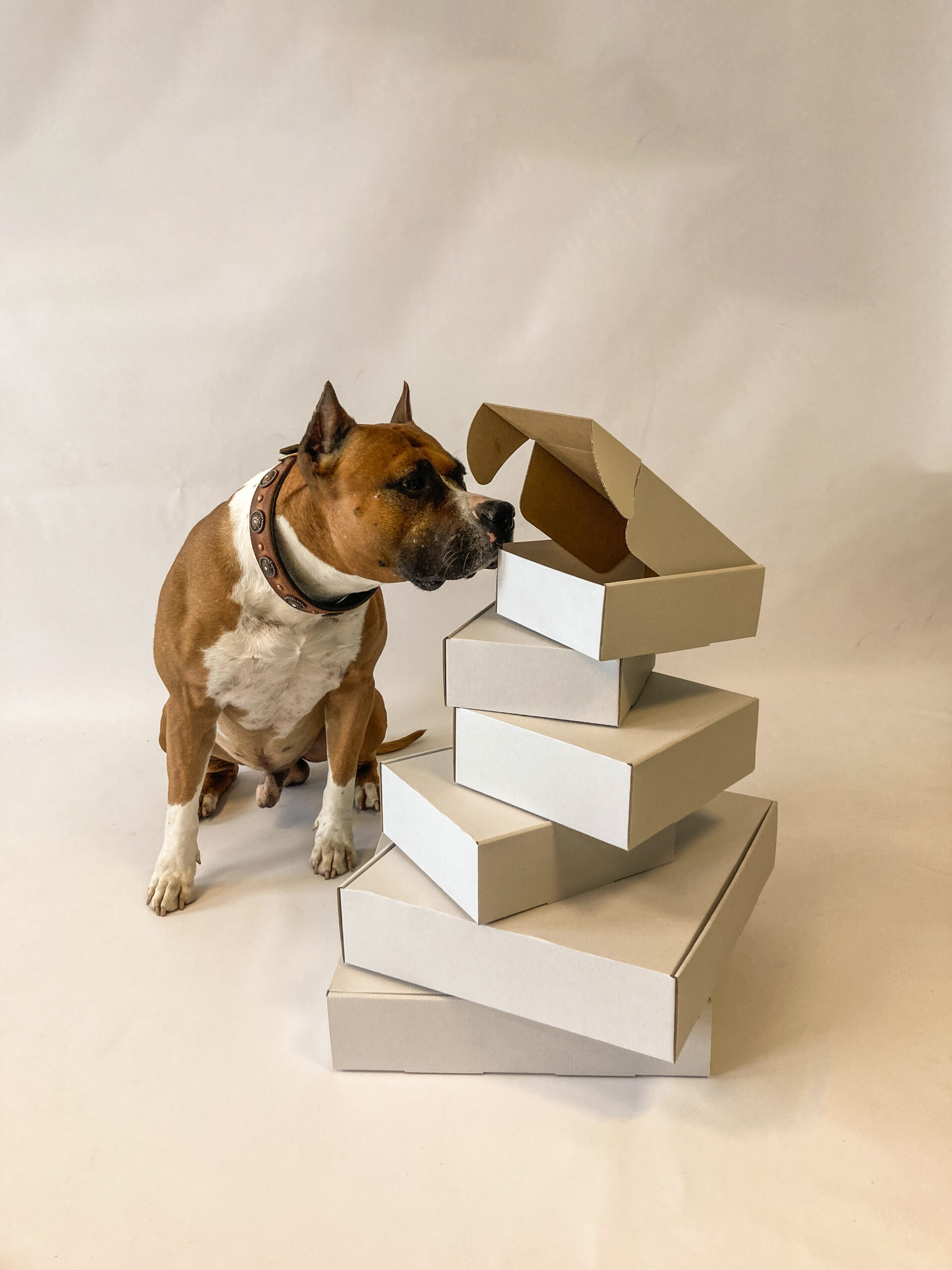 Production of packaging (ordering boxes 2)